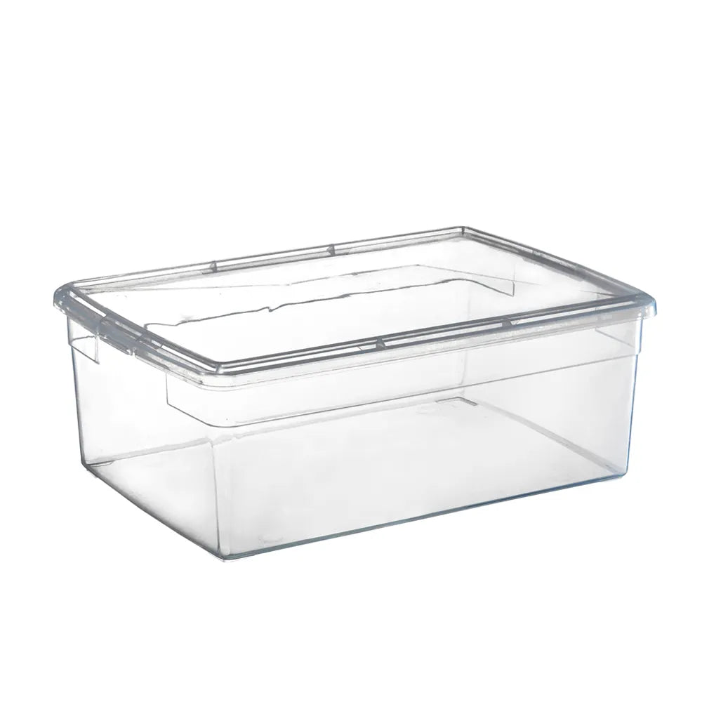 Your Bin- Clear Storage Bin with Cover