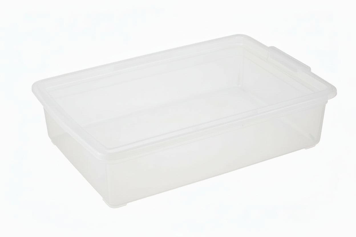 Your Bin- Clear Storage Bin with Cover