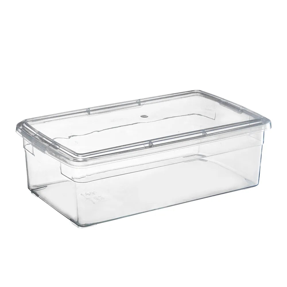 Your Bin- Clear Storage Bin with Cover