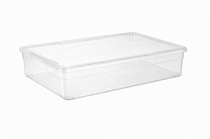 Your Bin- Clear Storage Bin with Cover