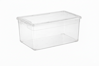 Your Bin- Clear Storage Bin with Cover