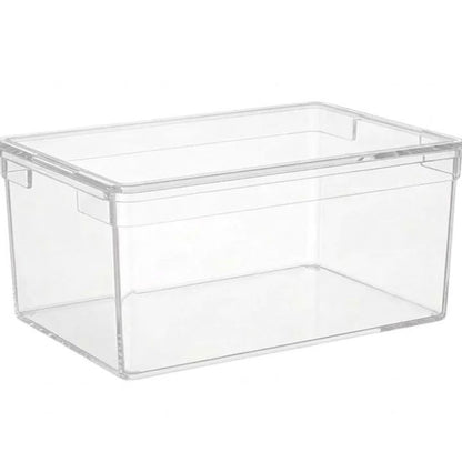 Your Bin- Clear Storage Bin with Cover