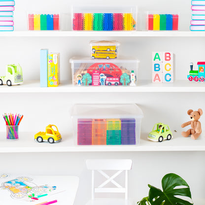 Your Bin- Clear Storage Bin with Cover