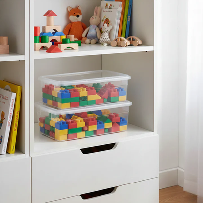 Your Bin- Clear Storage Bin with Cover