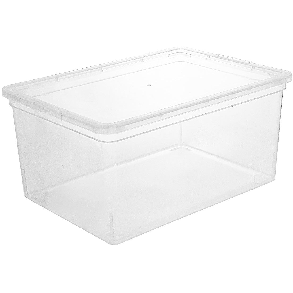Clear Storage Bins with Lid