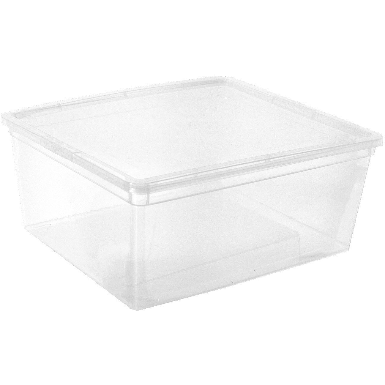 Clear Storage Bins with Lid